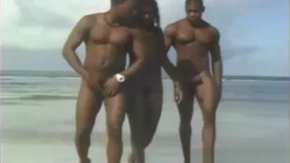 Amateursex, Analsex, Strand, Ebenholz, MMF, Öffentlicher Sex