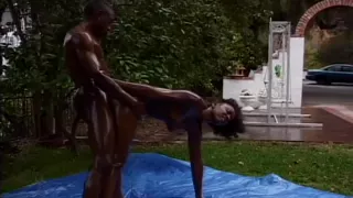 Butterfly Is Oiled Good And Pounded Outdoors