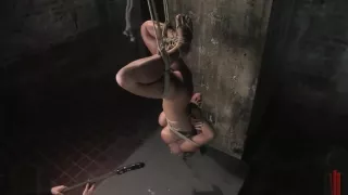 Trina inverted suspended in bondage & fucked with huge dildo