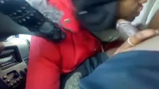 Head in the Whip 6 (Kris)