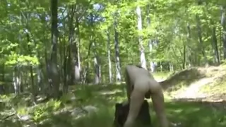 Forest Fuck