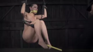 Bound sub whipped while gagged