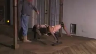 Whipping Pussies (1 of 2)