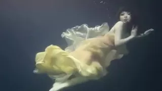 Chinese underwater model