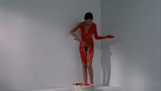 Anicee Alvina - Glissements progressifs du plaisir (1973)