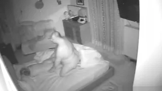 Girl fucked by Pudge.