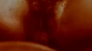 Little Red Humping Hood, Collection No. 79, 1979