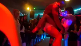 Real euro babe fucked from behind at sexparty