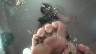 Hard crush before sex