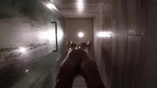 Jezebelle Bond Steamy Hot Shower