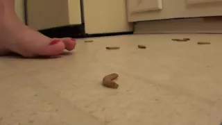 Hard crush before sex