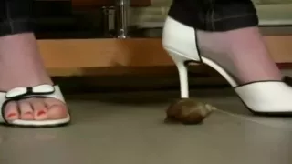 Hard crush before sex