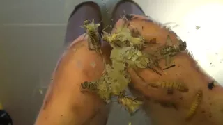 Hard crush before sex