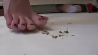 Hard crush before sex