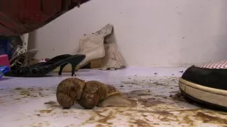 aplastar fetiche espana - silvia high definition 