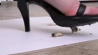 Hard crush before sex