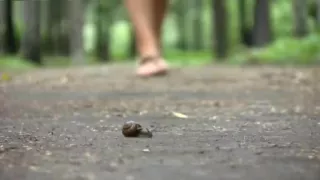 Hard crush before sex