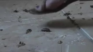 Hard crush before sex