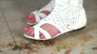 brutal rita crush crawdad