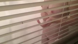 My Neighbors Daughter Showing