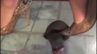 cock and ball torture