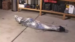 Amazing sex clip Bondage fantastic