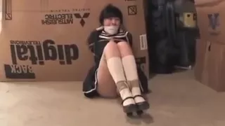 Kidnapped Schoolgirl