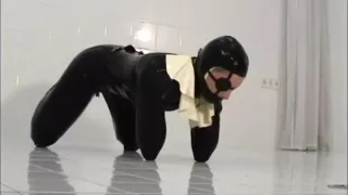 Latex Pet