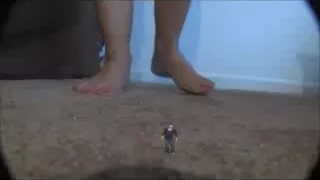 clean carpets