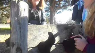 Two Girls in Black Tights Tickled
