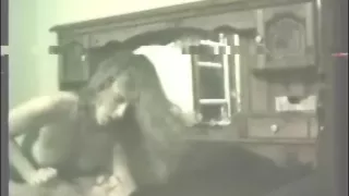 Young Wife With Tight Body Riding Cock And Swallowing Load