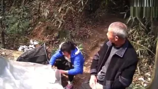 Chinese Daddy Forest 10