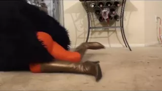 Horny sex movie 60FPS best show