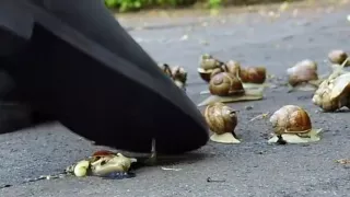 rubberboot crush crawdads