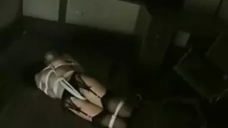 Japanese Hogtied
