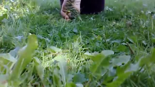 Flowers Crushed by Bare Feet