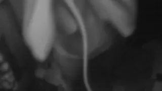 Masturbation, Voyeursex