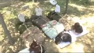 胜景山庄 姐妹捆绑之情