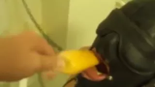 Bdsm Slave Has Got Big Boobs