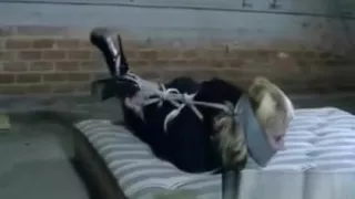 Wild Bondage Hottie Extreme Sex