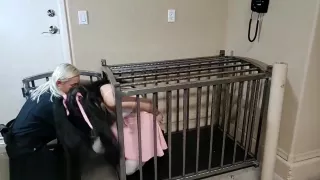 Pet Persephone Arrested