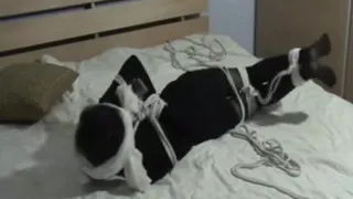 Bondage yoyo