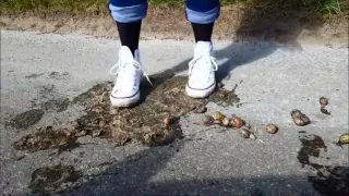 Converse Stomp Snails