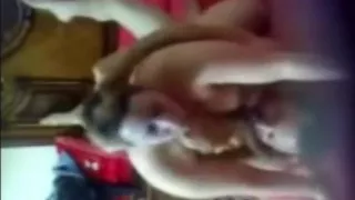 Arabischer Sex, Fantasie