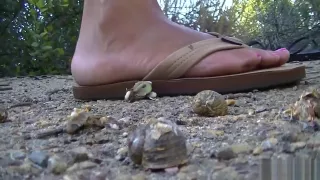 Tiffany snail squish