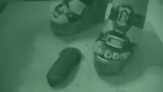 Trampling Cock Crush Wedge