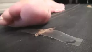 Hard crush before sex