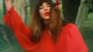Kate Bush - Wuthering Heights