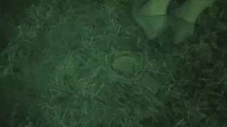 sexy girl in high heels really unknowingly crushing bread 3 Open-air concer