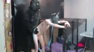 Horny Bull Fursuite Fucks Young Pup